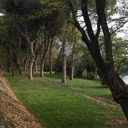Pisa Appartamento Bonaini Ngoại thất bức ảnh