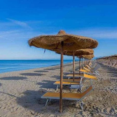 Pisa Appartamento Bonaini Ngoại thất bức ảnh