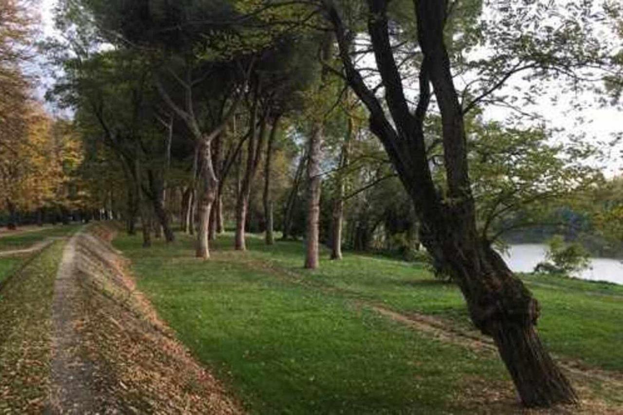 Pisa Appartamento Bonaini Ngoại thất bức ảnh
